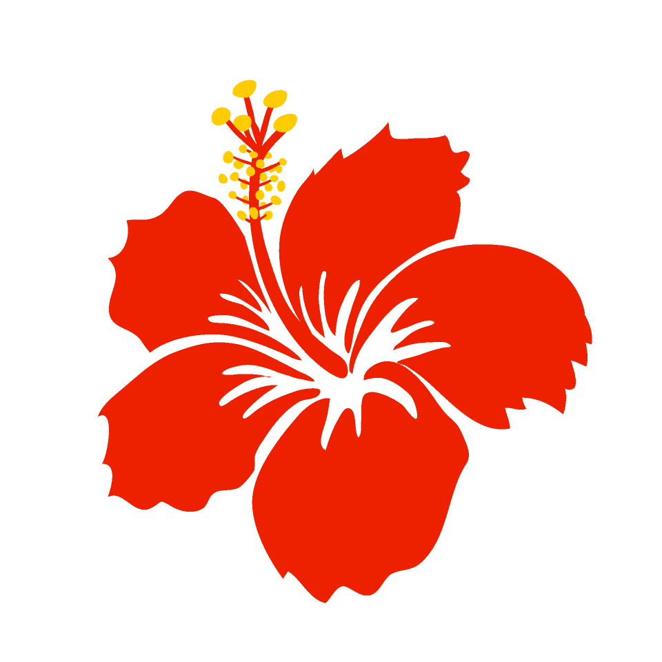 hibiscus_2.png